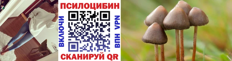 Купить где  Кольчугино  Галлюциногенные грибы Cubensis 
